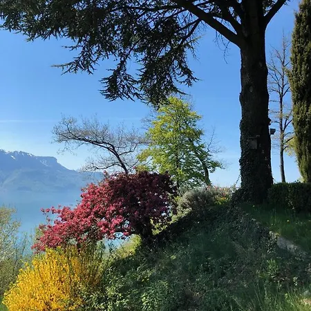 Lovely Villa In Lavaux With Unique View ! Chardonne Exterior photo