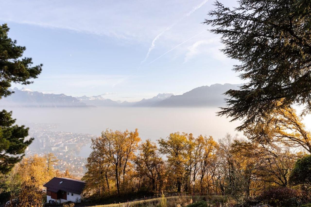 Lovely In Lavaux With Unique View ! Villa Chardonne