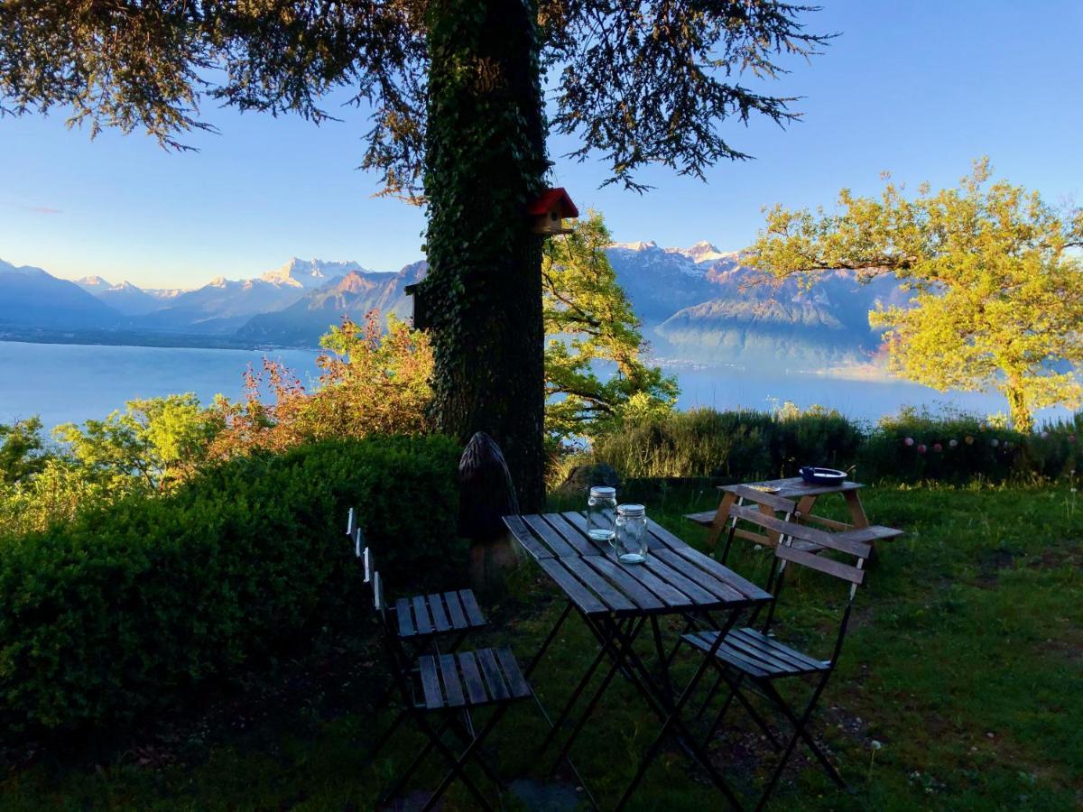 Lovely In Lavaux With Unique View ! * Chardonne
