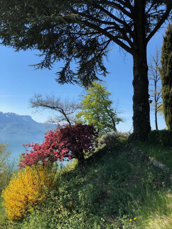 Villa Lovely In Lavaux With Unique View !