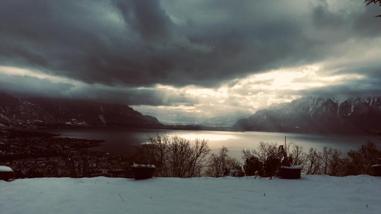Lovely In Lavaux With Unique View ! Villa *