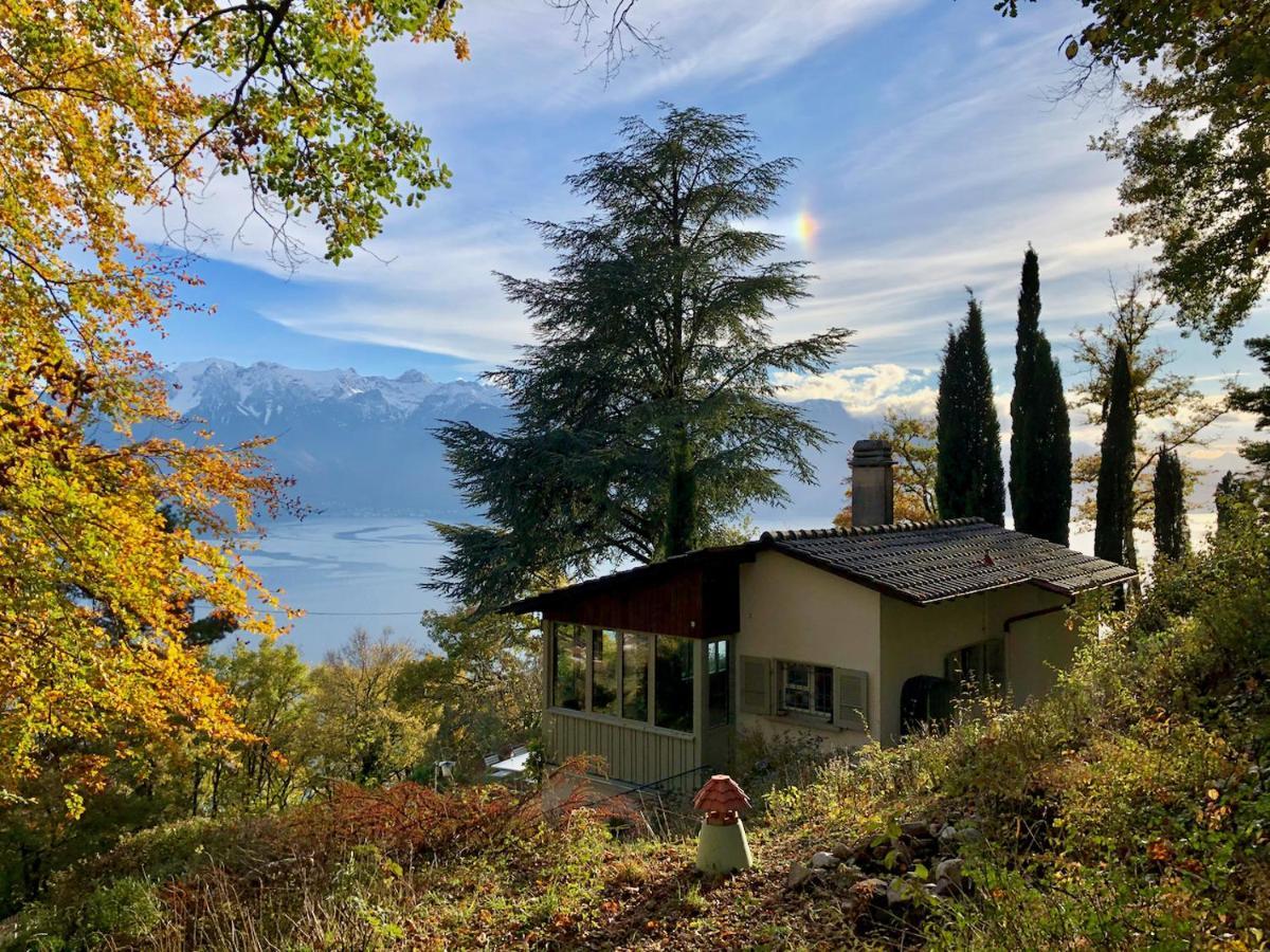 Lovely In Lavaux With Unique View ! *