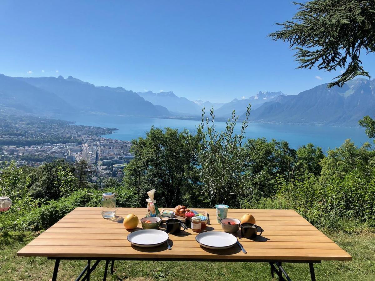 Lovely In Lavaux With Unique View ! * Chardonne