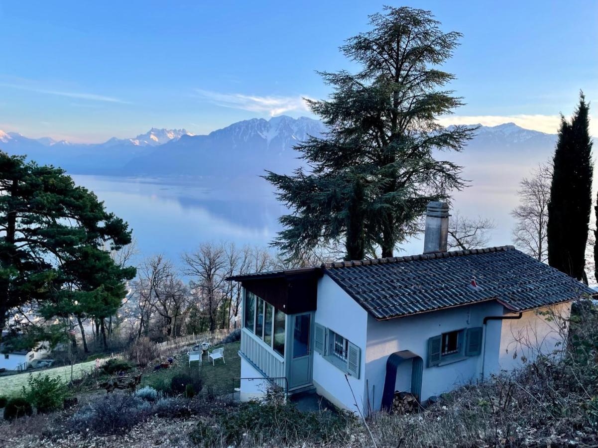 Villa Lovely In Lavaux With Unique View ! Chardonne