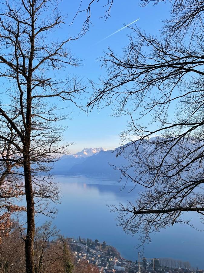 Villa Lovely In Lavaux With Unique View ! Chardonne
