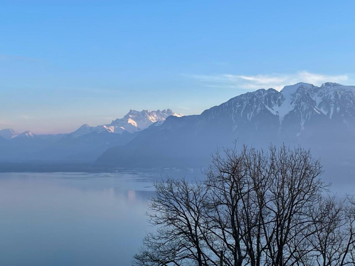 Villa Lovely In Lavaux With Unique View !