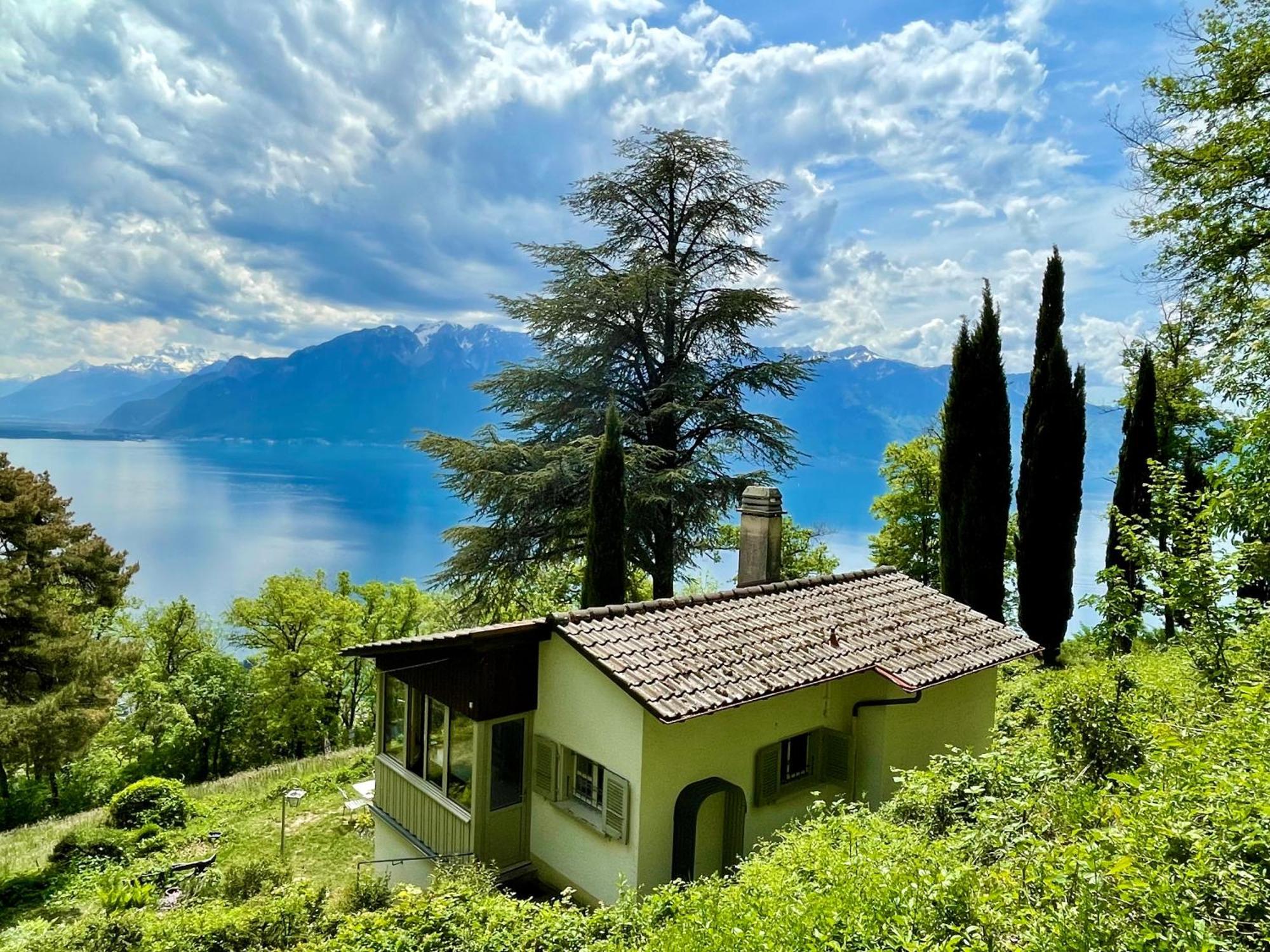 Lovely In Lavaux With Unique View !